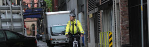 PalAmerican Security Guard Biking